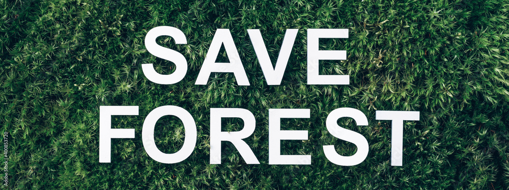 Fototapeta premium Inscription Save Forest on moss, green grass background. Top view. Copy space. Banner. Biophilia concept