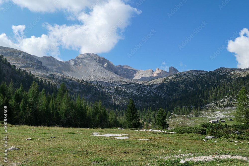 A panoramic view on the valley in Italian Dolomites. Dense forest overgrows the mountains slopes. Lush green meadow in front. High mountain chains in the back. Spring in the mountains. Sunny day.