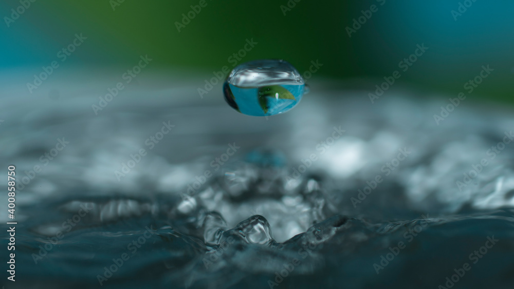 drop of water on a leaf - obrazy, fototapety, plakaty 