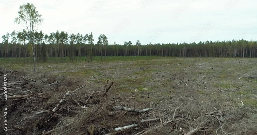 Deforestation area forest clearing landscape cut down trees Deforestation area forest clearing landscape cut down trees