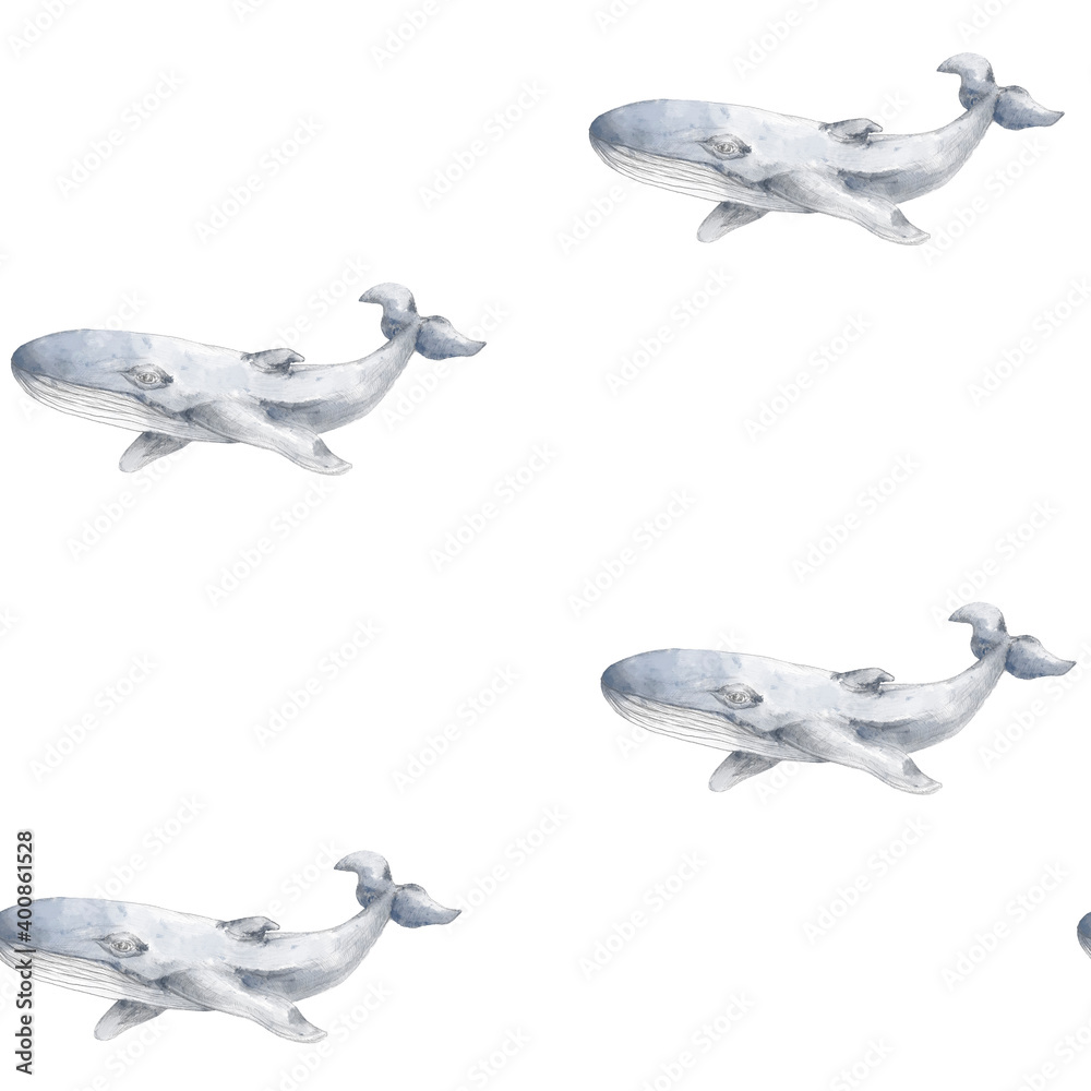 Fototapeta premium Whales seamless pattern on white background. Hand drawn illustration. Watercolor and graphic style. Ocean animal.