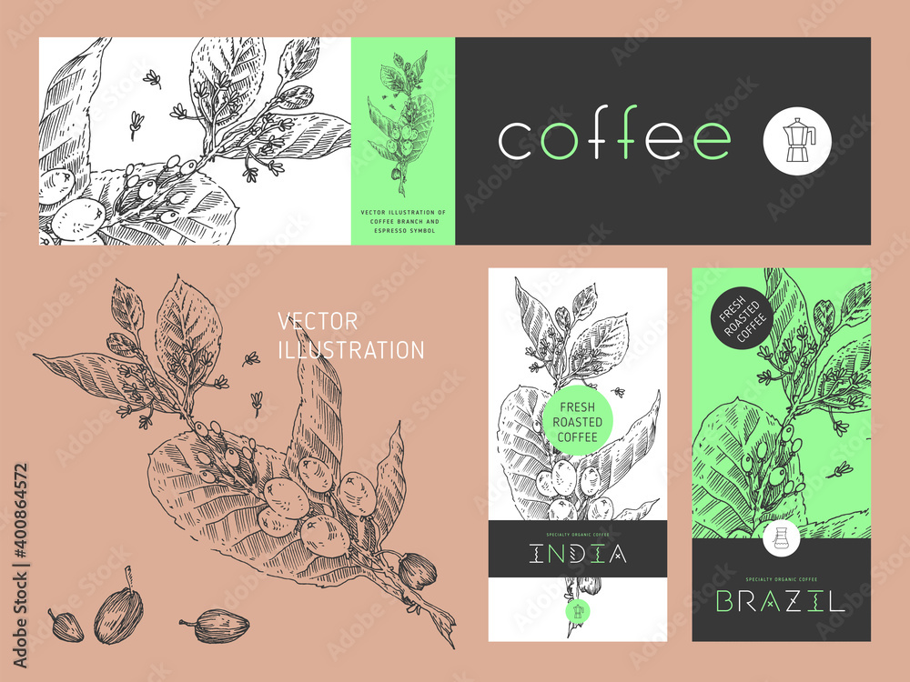 Vector specialty coffee package. Fresh roasted coffee label template design with branch illustration of coffee beans in engraved style. Retro badge for cafe. Vintage coffee house banner in vector.