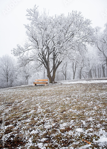 Bench in the public park in...