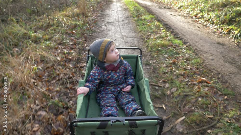 Little boy sitting in a garden wagon in a forest while a walking vídeo ...