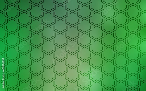Light Green vector background with straight lines.