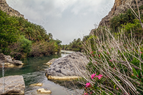 Palm trees growing along Kourtaliotiko River photo