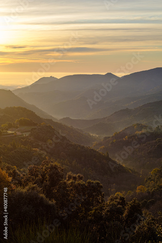 Mountain forest peak landscape on a sunrise morning with some tiny mist fog in the valleys © jordieasy