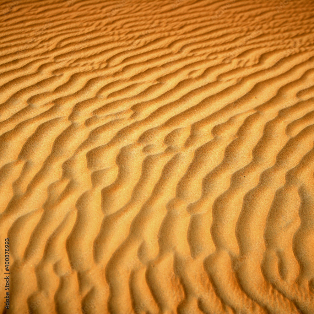 The Dubai Desert, Dubai, United Arab Emirates, Middle East The Dubai Desert, Dubai, United Arab Emirates, Middle East