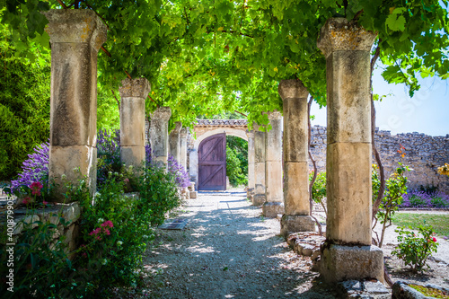 The lavender garden of the old abbey of Abbaye de Saint-Hilaire in Provence, France photo