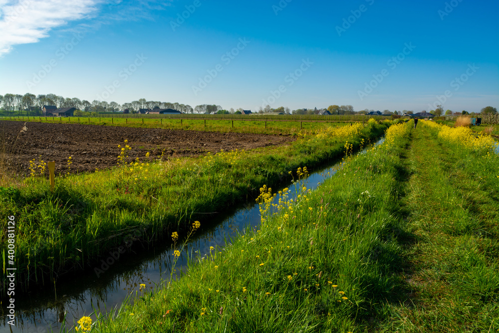 Spring nature landscape in Betuwe, Gelderland, Netherlands Spring nature landscape in Betuwe, Gelderland, Netherlands