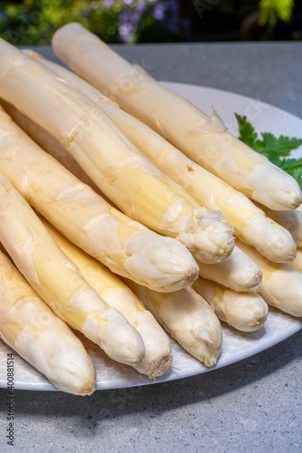 Dutch farmers products, fresh white asparagus in spring season