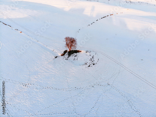 Camporovere, Altopiano di Asiago during winter season. Aerial drone view photo