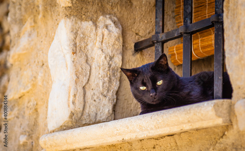 Black cat in the ancient village of Montbrun-les-Bain, Provence, France photo