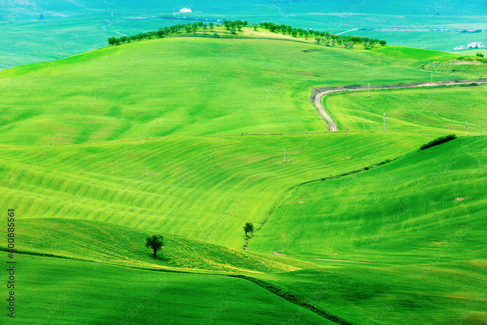 Green rolling landscape with winding road Green rolling landscape with winding road