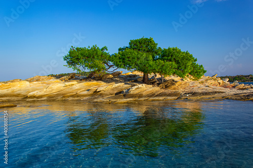 beautiful landscape peaceful environment space nature photography scenic view of small rocky island and lonely green tree in summer clear weather day time June season