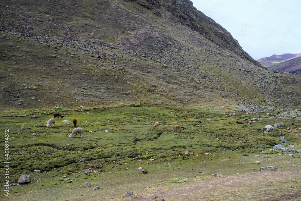 免税南米ペルーの綺麗な生地 生地/糸