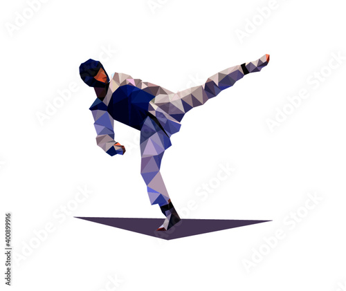Blue TaeKwonDo Player low poly
