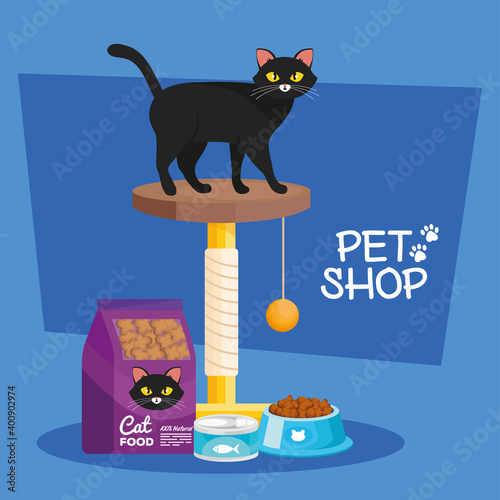 cat in gym and pet shop set icons vector illustration design