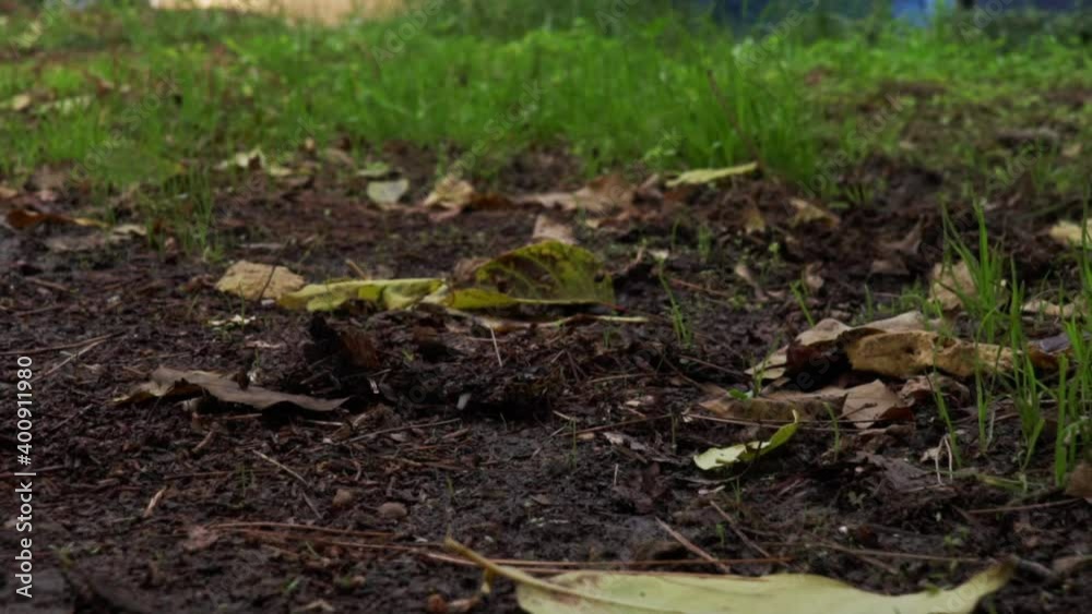 Tilt shot of trash can next to soil, low view Tilt shot of trash can next to soil, low view