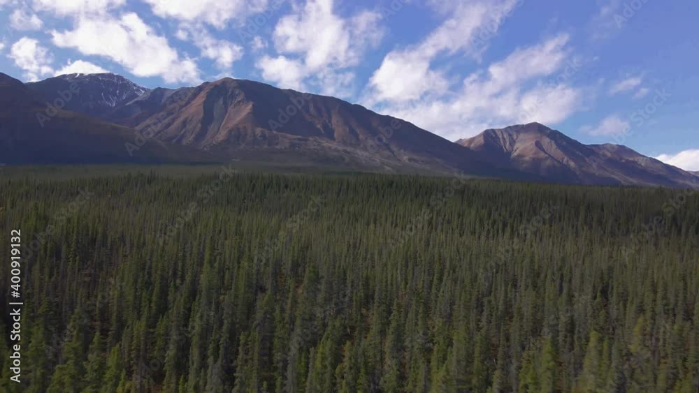 Dense forest with mountains in background. Aerial at Kluane National Park, Canada Dense forest with mountains in background. Aerial at Kluane National Park, Canada