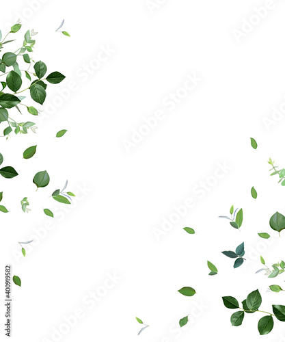 Herbal minimalist vector frame