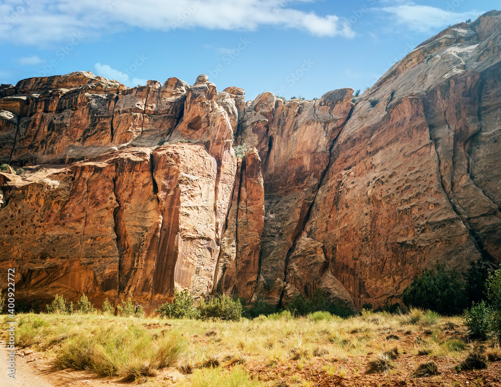 Fototapeta premium Unbelievable sandstone cliff and superlative domes with tumbleweeds on a hot summer partly cloudy day in Capitol Reef National Park in Southern Utah