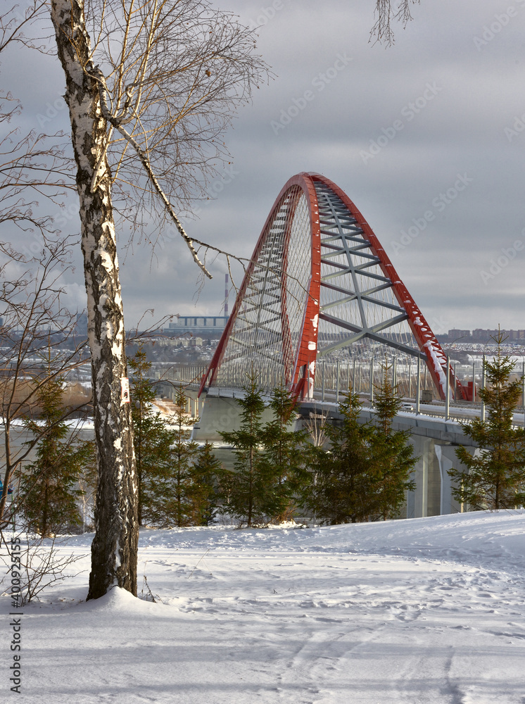 Bugrinskij bridge and birch in winter - vertically Bugrinskij bridge and birch in winter - vertically