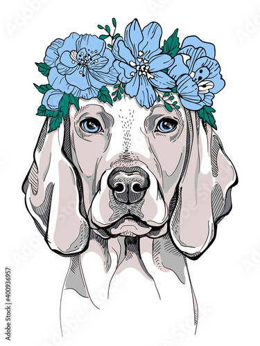 Cute Weimaraner dog in a flower wreath. Spring portrait of a dog. Stylish image for printing on any surface photo