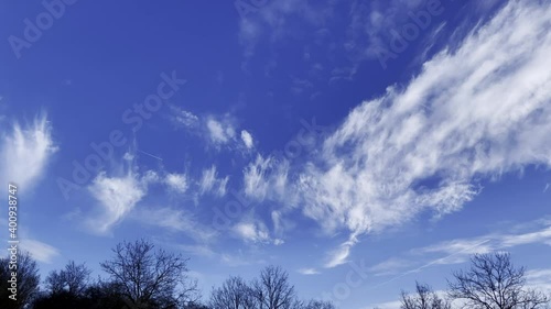 Tilt up shot of tree silhouette and beautiful blue sky cirrostratus clouds during sunny day outdoors in nature. photo