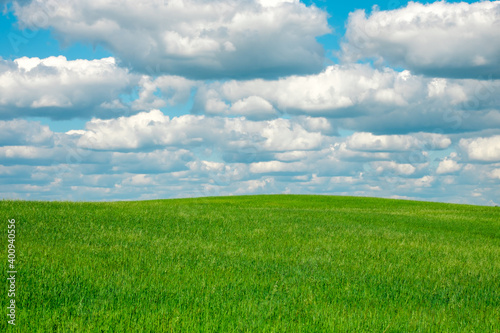 landscape of beautiful white clouds on blue sky over green meadow with planted grass