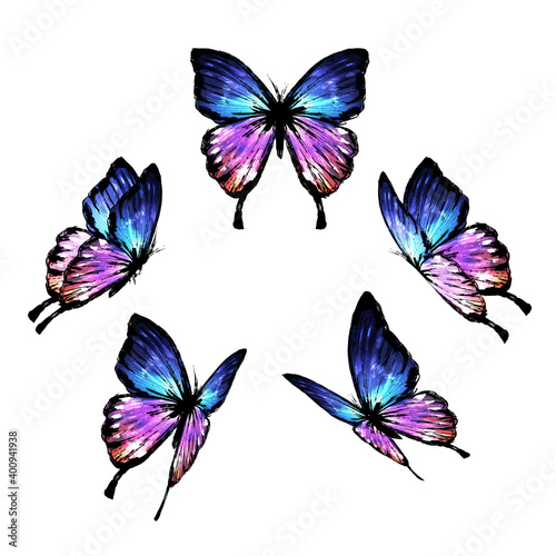 set of butterflies © Pattra