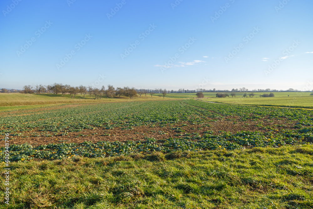 Landscape in middle germany close to Gießen, Hessia