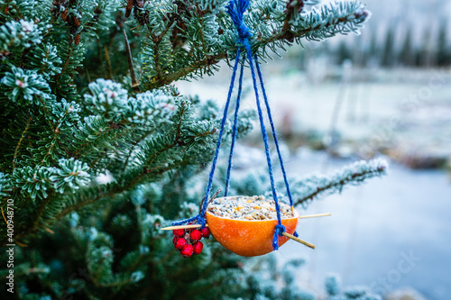 Schilderij op canvas Bird food for the winter. Do-it-yourself energy bird fat balls.