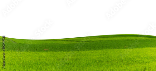 grassland panorama isolated on white background