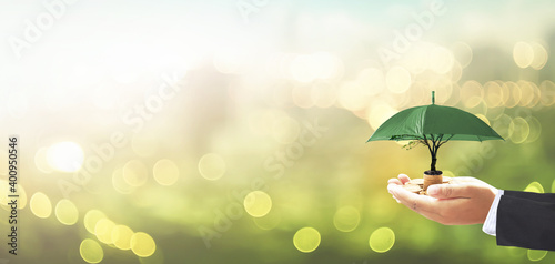 Investment concept: Businessman hands holding stack of golden coins and big tree with green umbrella against blurred nature background