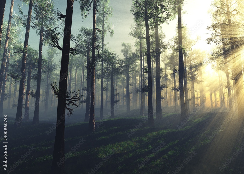 Obraz premium Sunrise in the forest, the sun among the trees, Pine forest in the fog, trees in the sun, morning park in the haze, 3D rendering