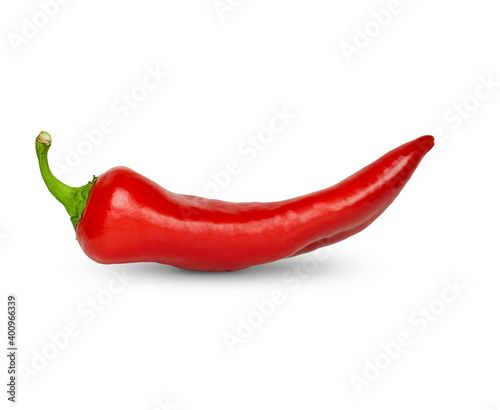 one chili pepper on isolated white background
