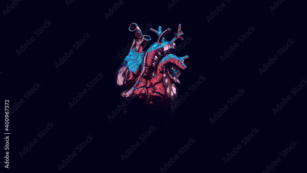 Silver Anatomical Heart with Blue Pink Moody 80s Lighting 3d illustration render Silver Anatomical Heart with Blue Pink Moody 80s Lighting 3d illustration render