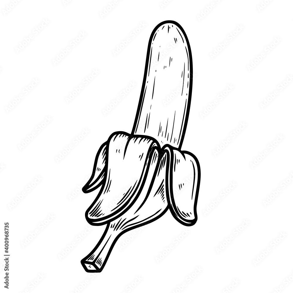 Illustration of banana in engraving style. Design element for poster, card, banner, sign. Vector illustration Illustration of banana in engraving style. Design element for poster, card, banner, sign. Vector illustration