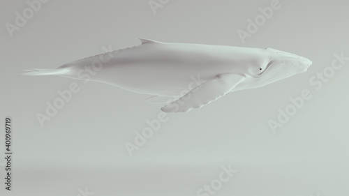 Humpback Whale White 3d illustration render