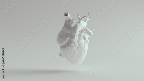 Fotografia Human Heart Pure White Anatomical Model 3d illustration render