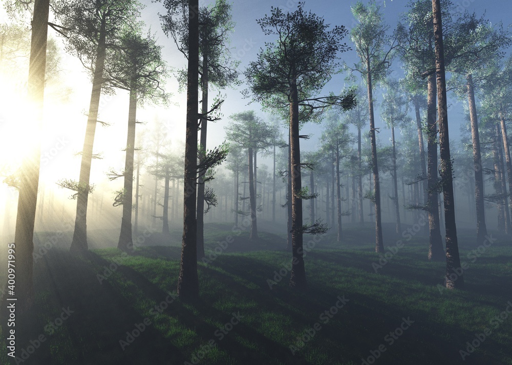 Obraz premium Sunrise in the forest, the sun among the trees, Pine forest in the fog, trees in the sun, morning park in the haze, 3D rendering