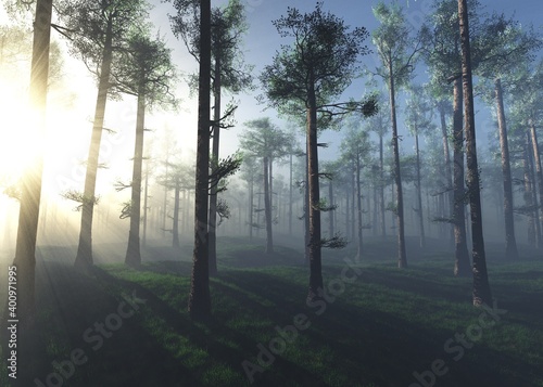 Sunrise in the forest, the sun among the trees, Pine forest in the fog, trees in the sun, morning park in the haze, 3D rendering