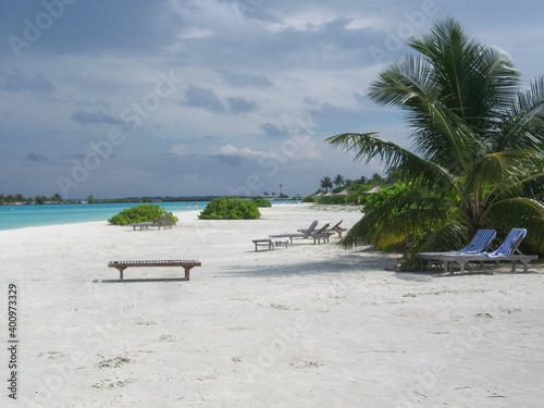Fototapeta Naklejka Na Ścianę i Meble -  Transats et palmiers sur une plage de sable fin avec une eau turquoise