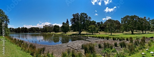 Beautiful view of a pond with lily pad in the water and tall trees and deep blue sky in the background, Centennial park, Sydney, New South Wales, Australia
