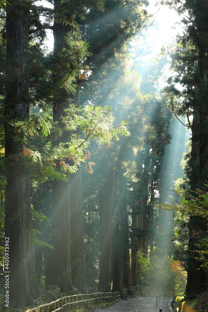 Obraz premium 世界遺産 紅葉の中尊寺