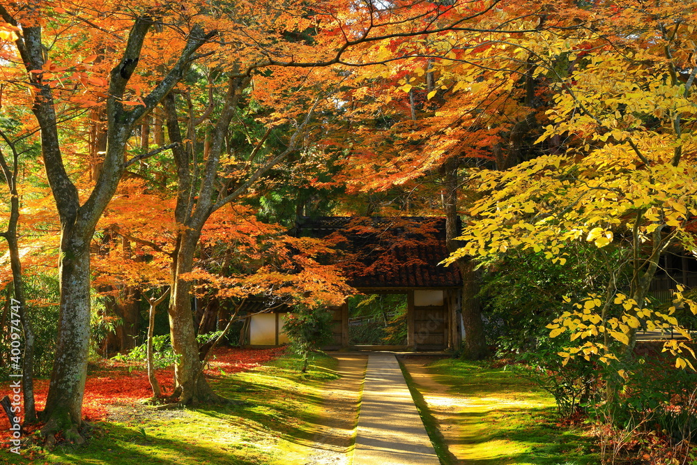 Obraz premium 世界遺産 紅葉の中尊寺