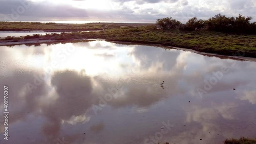 Some aerial shots of some ducks taking off in flight, in a protected natural pond, with a mirror effect where the sky is reflected in a spectacular way. It is located in the southeast of France. photo