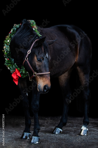 Christmas Horse