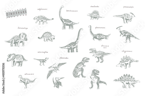 Dinosaurs hand drawn vector illustrations set